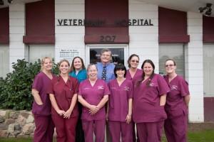 Pet Care - North of the River Veterinary Hospital
